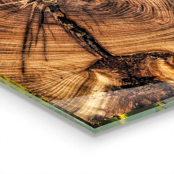 Sticlă pentru bucătărie Textura trunchiului