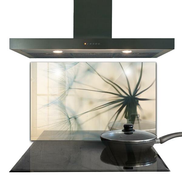 Panou sticlă bucătărie Frumoasă păpădie delicată