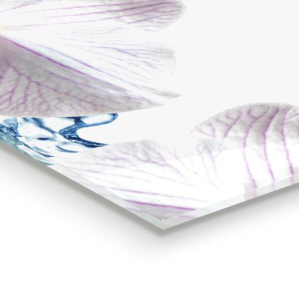 Panou sticlă bucătărie Orhideea stropită cu apă