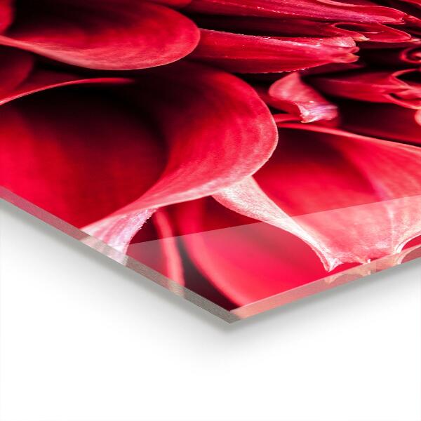 Panou sticlă bucătărie Puterea energică a florii a naturii