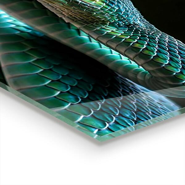 Sticlă bucătărie Fauna sălbatică a șarpelui