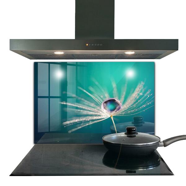 Panou sticlă bucătărie Păpădie cu picătură de rouă