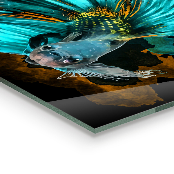 Sticlă bucătărie Pești tropicali de luptă