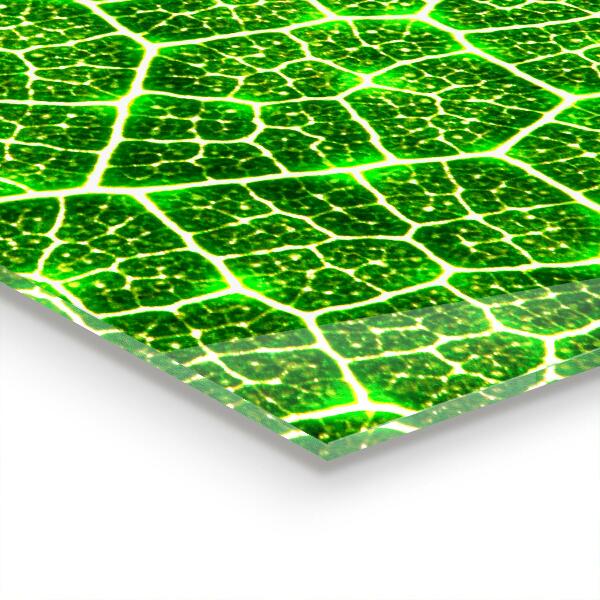 Panou sticlă bucătărie Puterea botanicii verzi