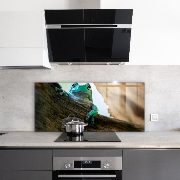 Sticlă bucătărie Portret de broască africană