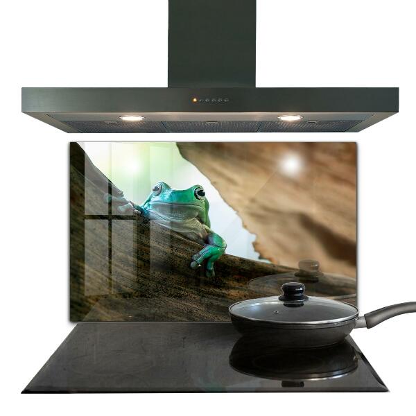 Sticlă bucătărie Portret de broască africană