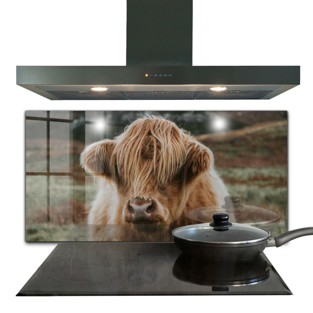 Sticlă bucătărie Vaca în stil cabană din highland