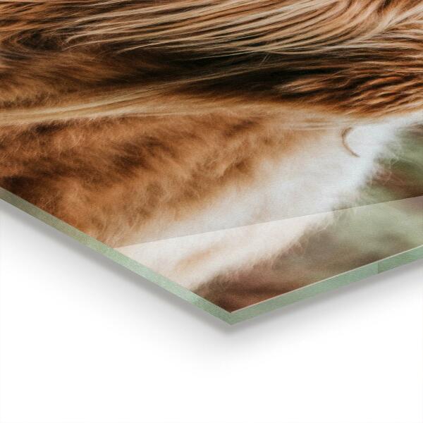 Sticlă bucătărie Vaca în stil cabană din highland