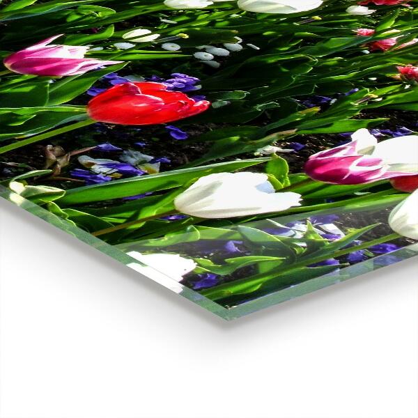 Panou sticlă bucătărie Flori de vară de luncă