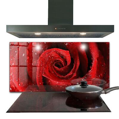 Sticlă printata bucătărie Picături de rouă pe un trandafir roșu