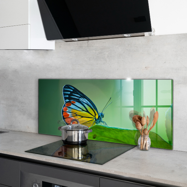 Sticlă bucătărie Fluture sprijinit pe o frunză