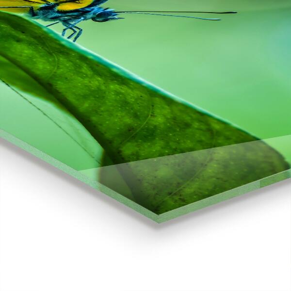 Sticlă bucătărie Fluture sprijinit pe o frunză