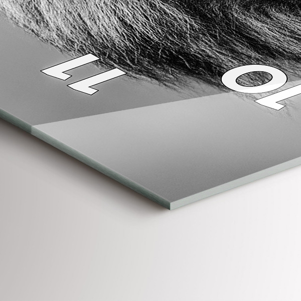 Ceas vertical de perete din sticlă Rezumat - Leu