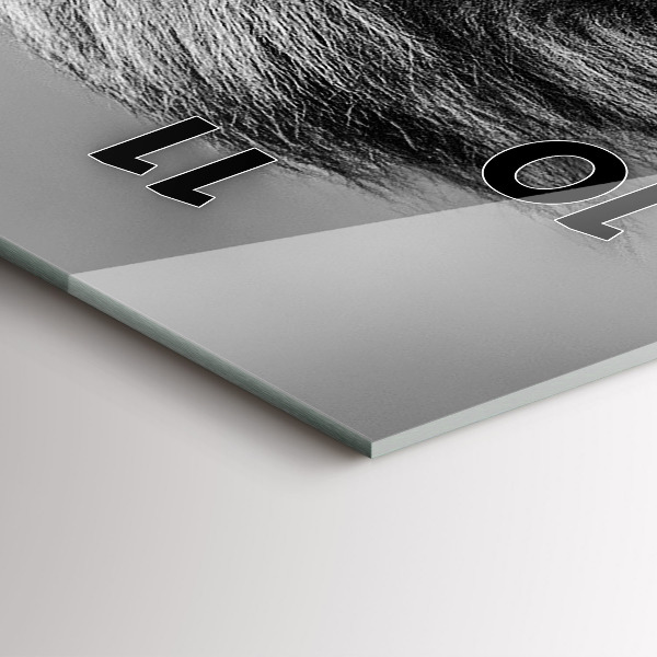 Ceas vertical de perete din sticlă Rezumat - Leu