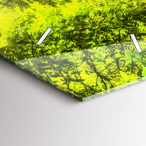 Ceas vertical de perete din sticlă Cascada în Thailanda