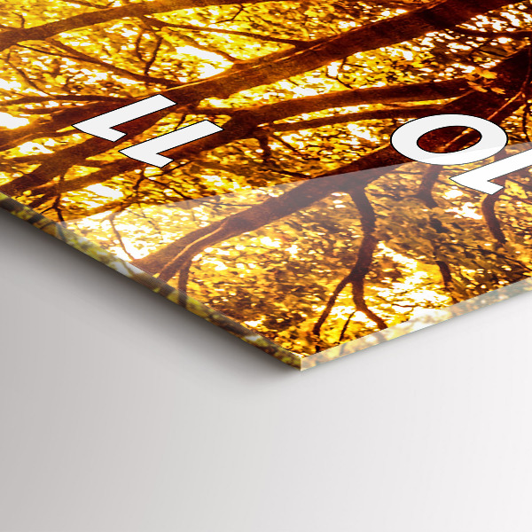 Ceas vertical de perete din sticlă Peisaj de pădure la soare