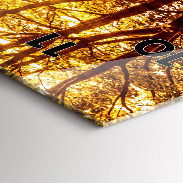 Ceas vertical de perete din sticlă Peisaj de pădure la soare