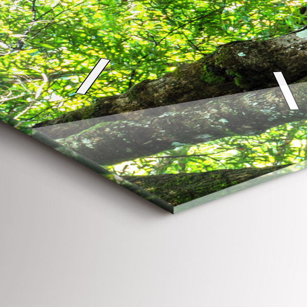 Ceas vertical de perete din sticlă Cascada în pădure