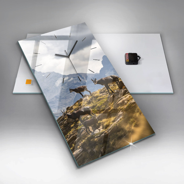 Ceas vertical de perete din sticlă Capră în Valea Aostei