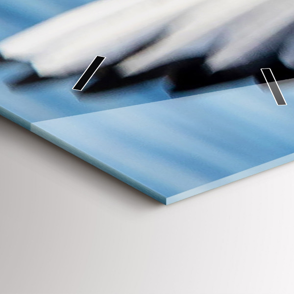 Ceas vertical de perete din sticlă Pescăruși în Gdynia