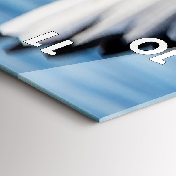 Ceas vertical de perete din sticlă Pescăruși în Gdynia