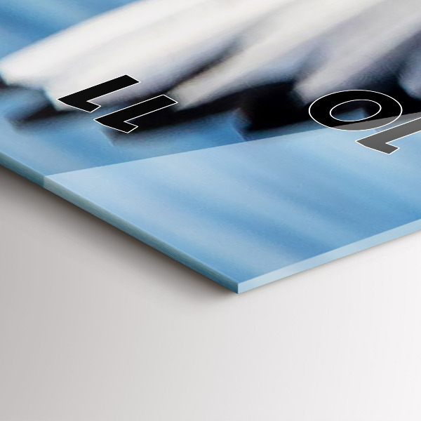 Ceas vertical de perete din sticlă Pescăruși în Gdynia