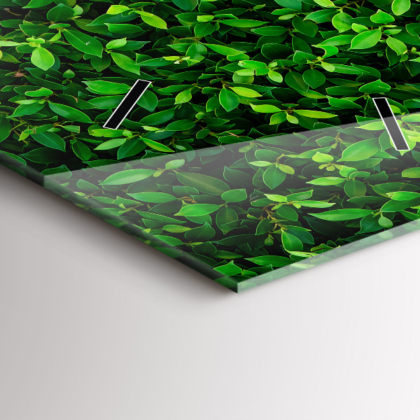 Ceas vertical de perete din sticlă Frunze de gard viu