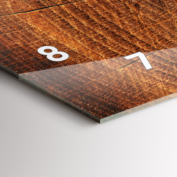 Ceas orizontale de perete din sticlă Trunchi bătrân de copac