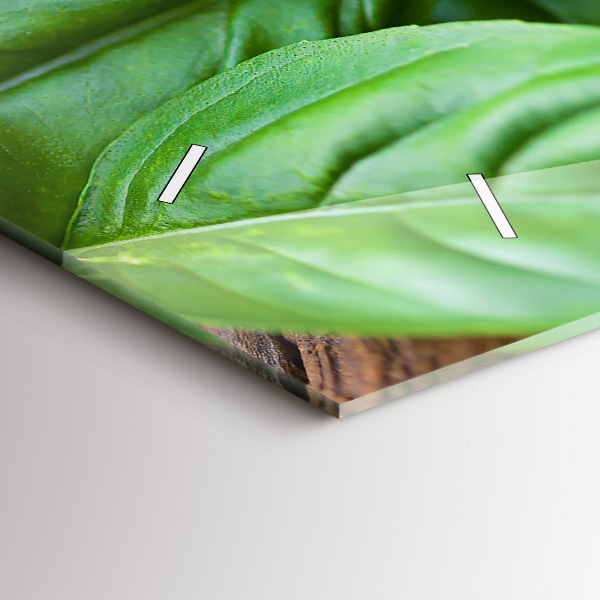 Ceas orizontale de perete din sticlă frunze de busuioc