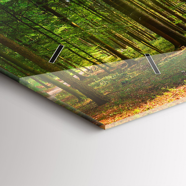 Ceas orizontale de perete din sticlă Răsărit de pădure