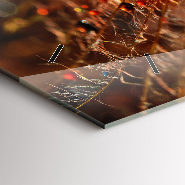 Ceas orizontale de perete din sticlă Păpădie cu rouă