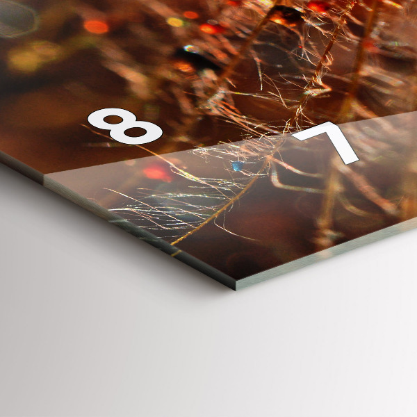 Ceas orizontale de perete din sticlă Păpădie cu rouă