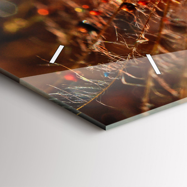 Ceas orizontale de perete din sticlă Păpădie cu rouă