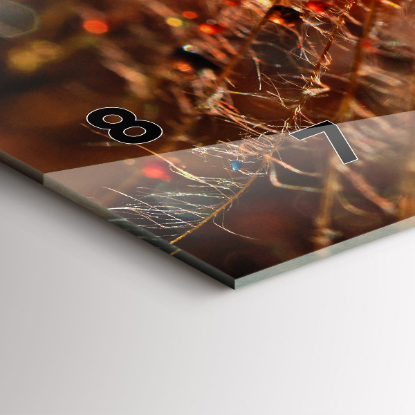 Ceas orizontale de perete din sticlă Păpădie cu rouă