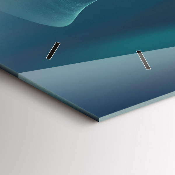 Ceas orizontale de perete din sticlă Imaginea unui vultur zburător