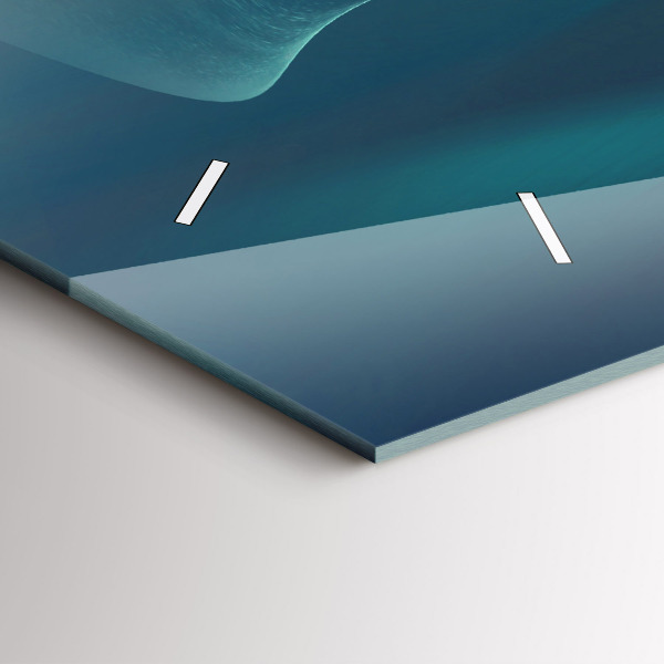 Ceas orizontale de perete din sticlă Imaginea unui vultur zburător