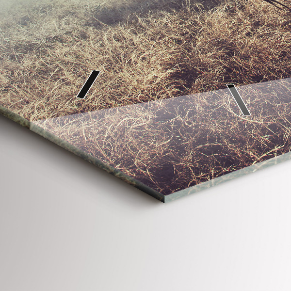 Ceas orizontale de perete din sticlă Zebra – Abstracție