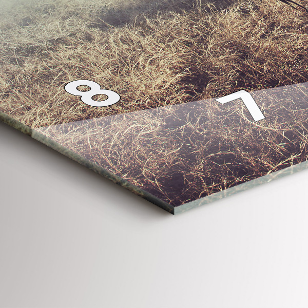 Ceas orizontale de perete din sticlă Zebra – Abstracție