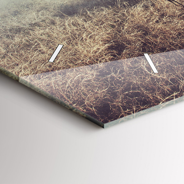 Ceas orizontale de perete din sticlă Zebra – Abstracție