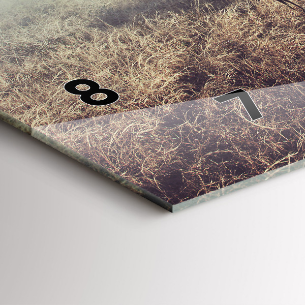 Ceas orizontale de perete din sticlă Zebra – Abstracție