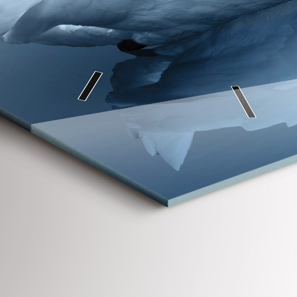 Ceas orizontale de perete din sticlă Lebăda în inimă