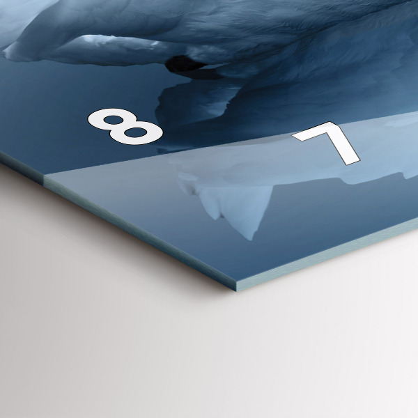 Ceas orizontale de perete din sticlă Lebăda în inimă