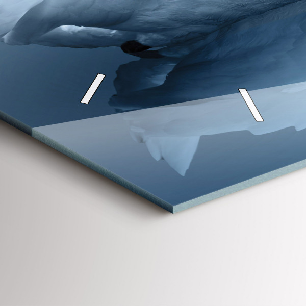 Ceas orizontale de perete din sticlă Lebăda în inimă