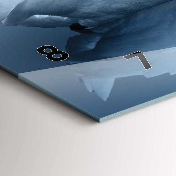 Ceas orizontale de perete din sticlă Lebăda în inimă