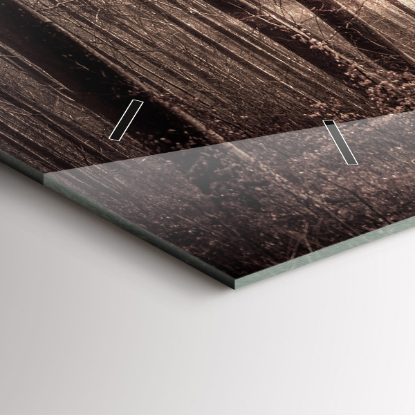 Ceas orizontale de perete din sticlă Poteca în sepia