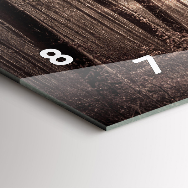 Ceas orizontale de perete din sticlă Poteca în sepia