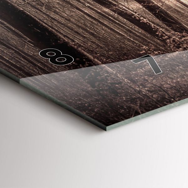 Ceas orizontale de perete din sticlă Poteca în sepia