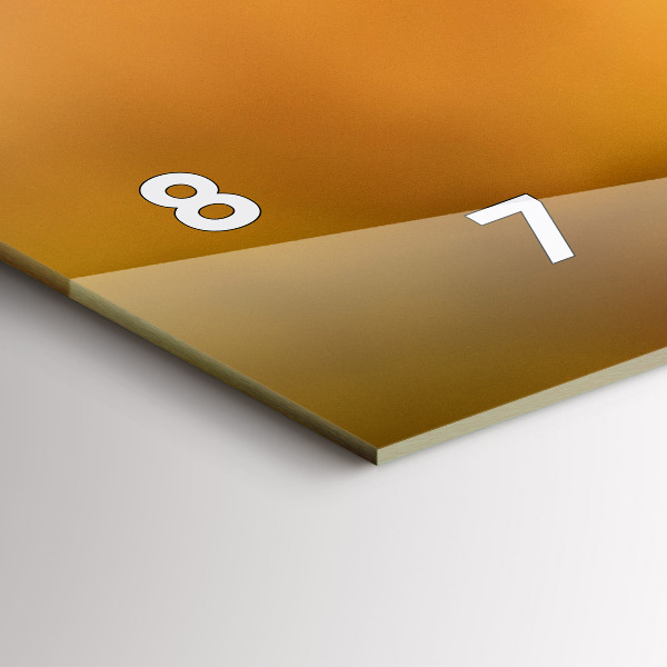 Ceas orizontale de perete din sticlă Pasăre colibri