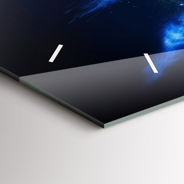 Ceas orizontale de perete din sticlă Papagal colorat