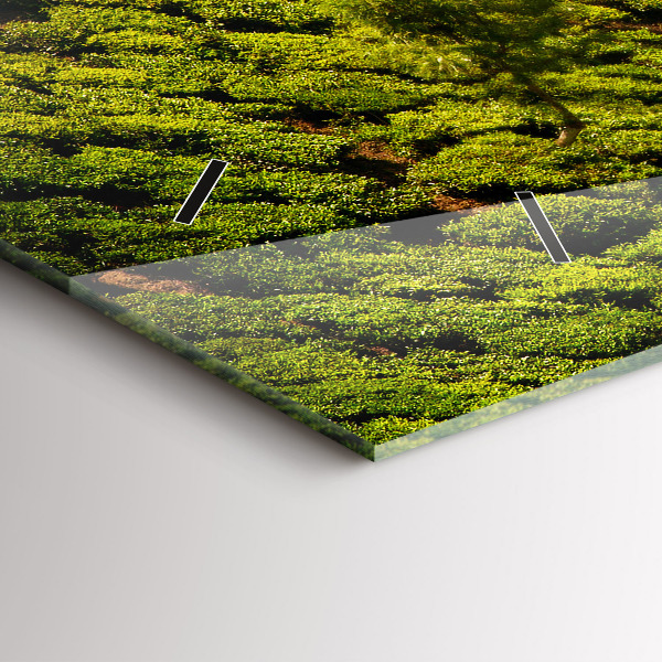 Ceas orizontale de perete din sticlă Dealul de ceai